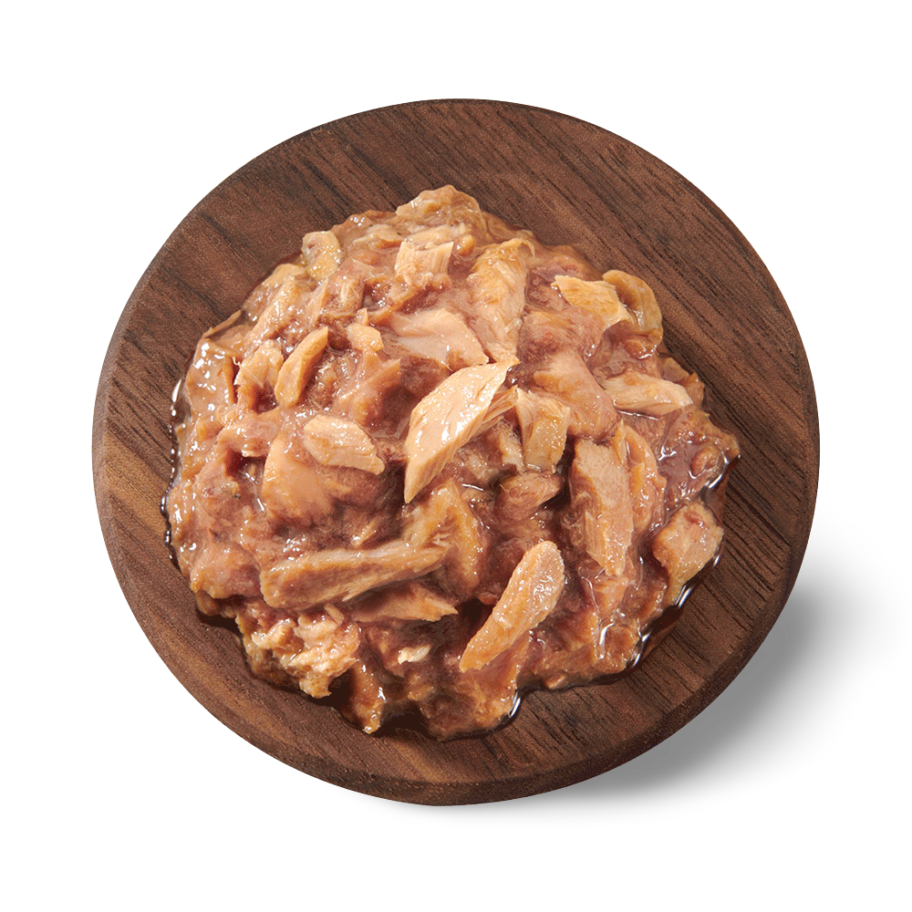 WELLNESS Core Wet Cat Food Tiny Tasters Flaked Tuna & Salmon in Broth