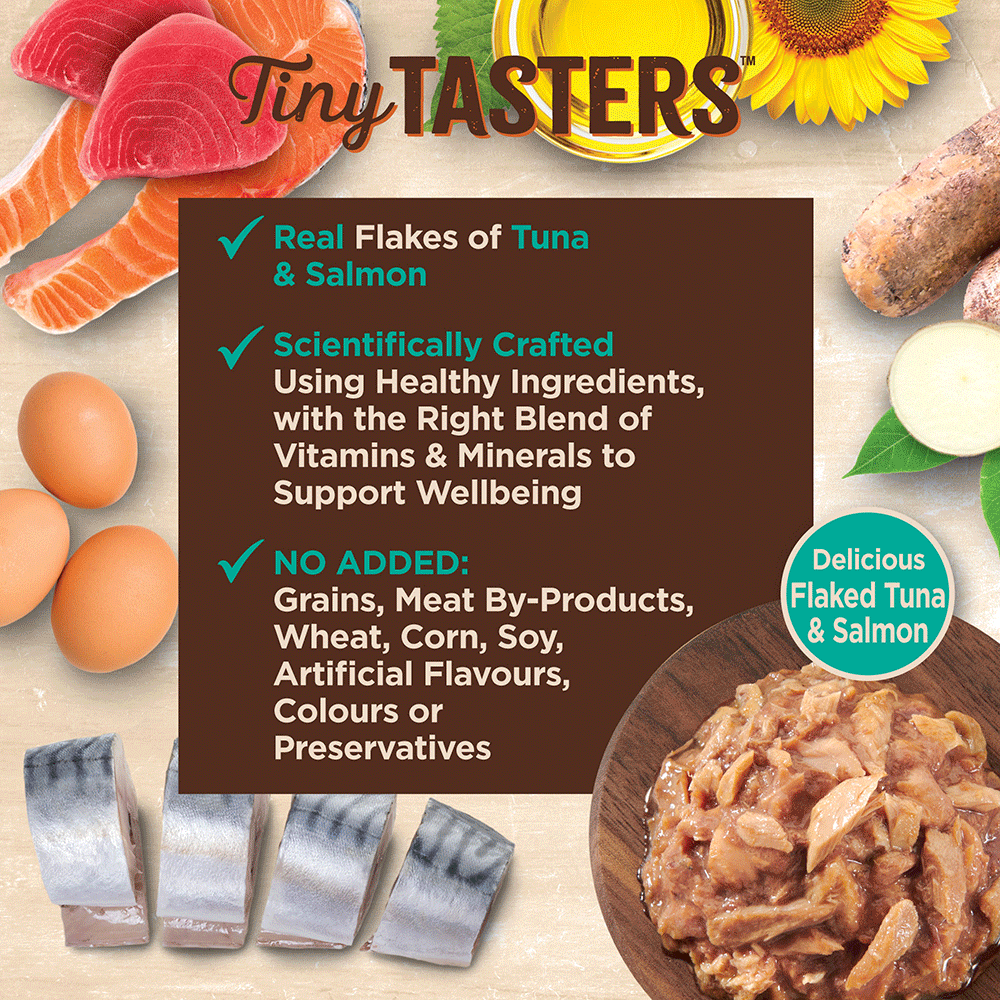 WELLNESS Core Wet Cat Food Tiny Tasters Flaked Tuna & Salmon in Broth