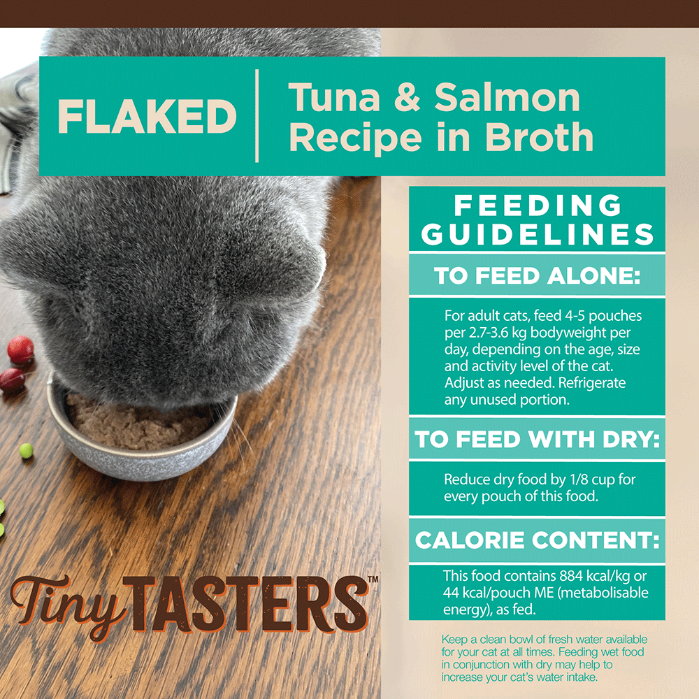 WELLNESS Core Wet Cat Food Tiny Tasters Flaked Tuna & Salmon in Broth