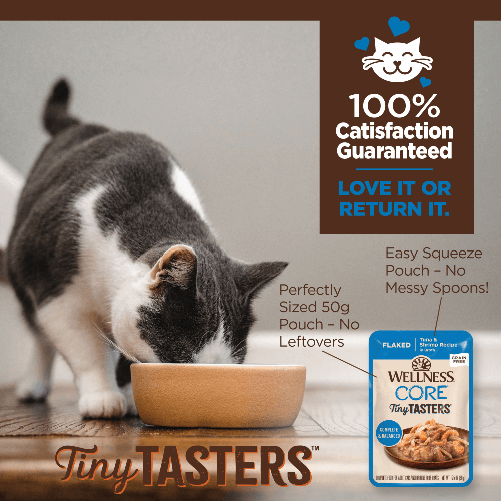 WELLNESS Core Wet Cat Food Tiny Tasters Flaked Tuna & Shrimp in Broth