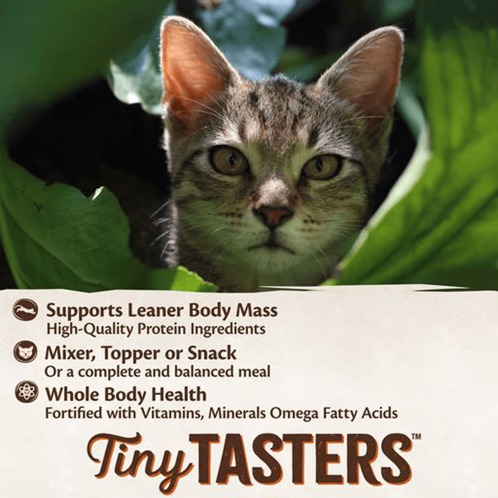 WELLNESS Core Wet Cat Food Tiny Tasters Poultry Pate Land Variety Pack 50g x 12