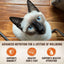 WELLNESS Core Wet Cat Food Tiny Tasters Smooth Pâté Tuna Recipe
