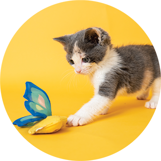 Yeowww! Catnip Cat Toy Butterflies