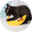 Yeowww! Catnip Cat Toy Chi-CAT-a Banana Peeled