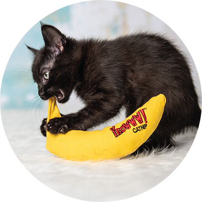 Yeowww! Catnip Cat Toy Chi-CAT-a Banana Peeled